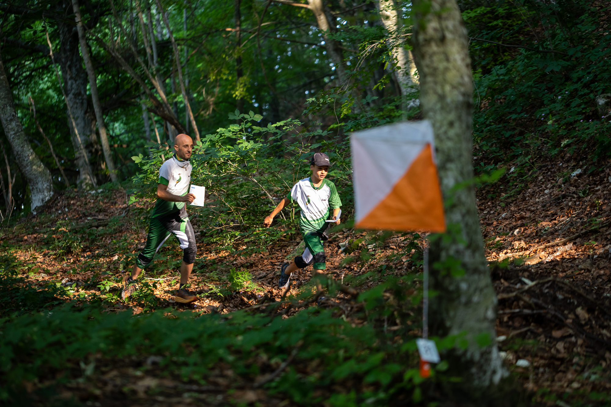 Orienteering in faggeta - Visit Montefeltro