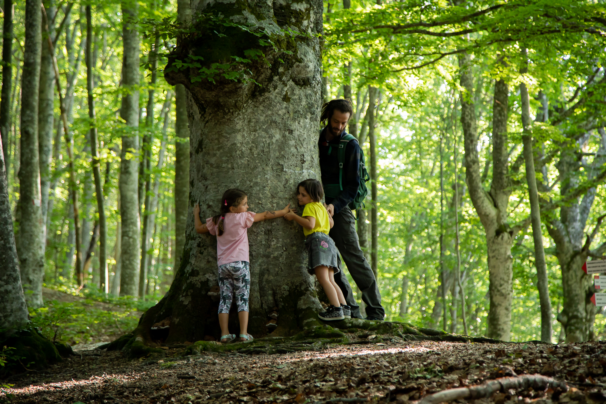 tree hugging e trekking - Visit Montefeltro