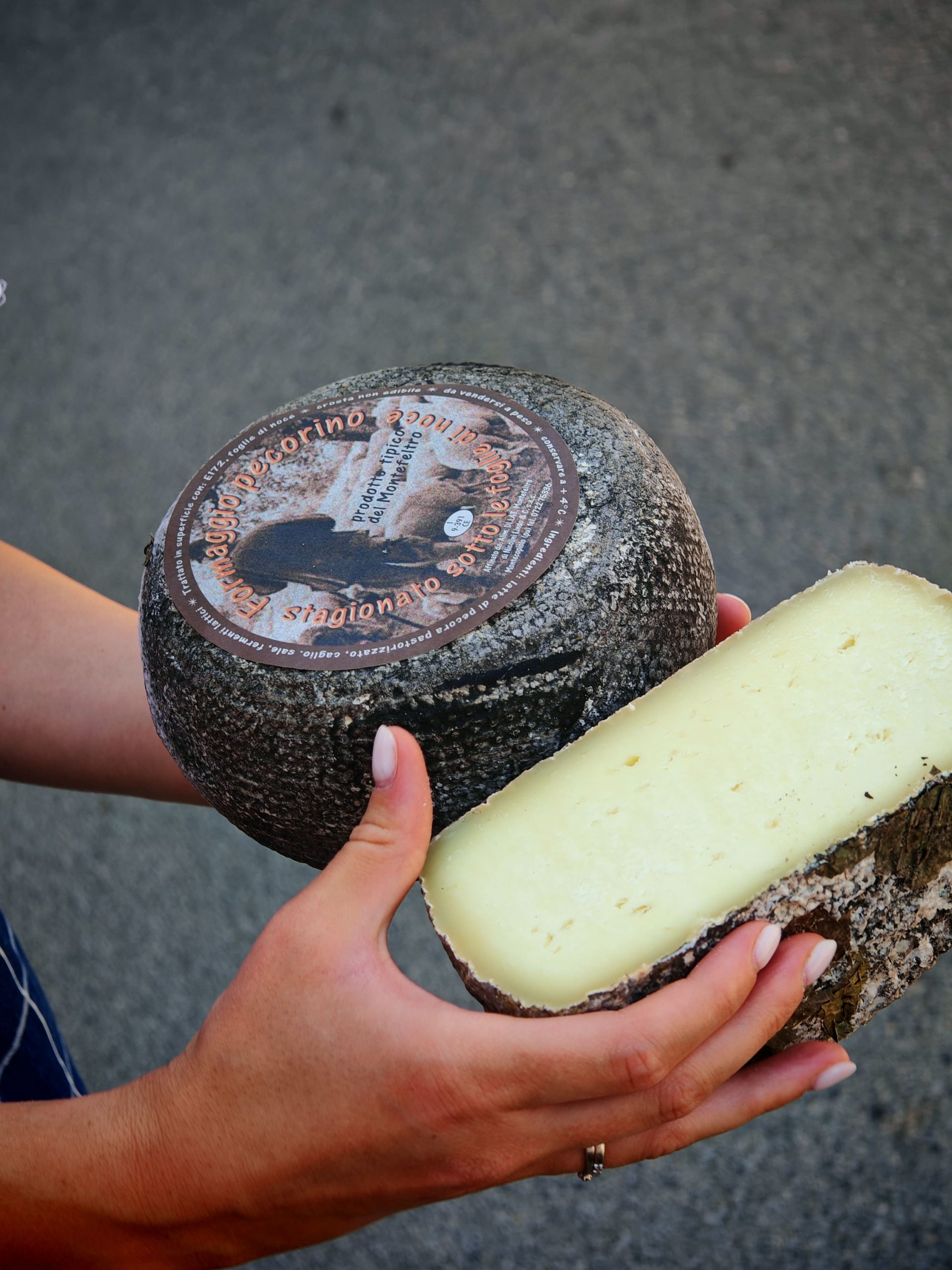 pecorino noci macelleria del corso carpegna