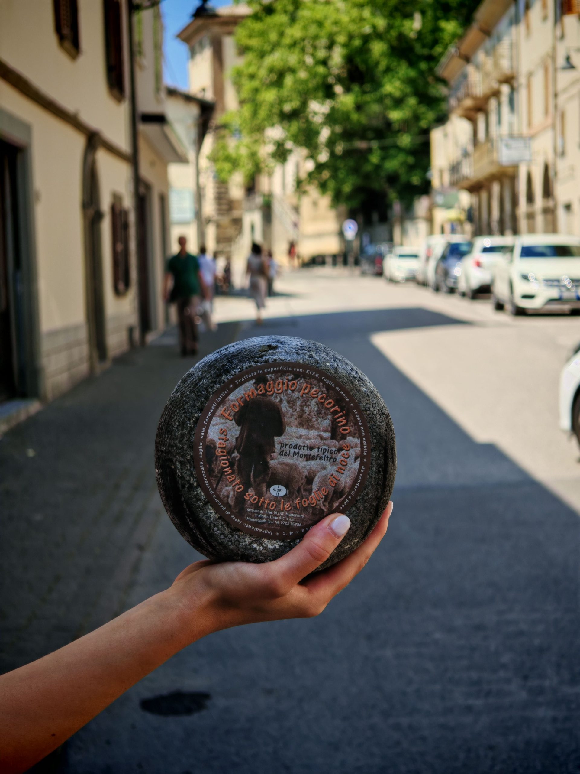 pecorino noci macelleria del corso carpegna